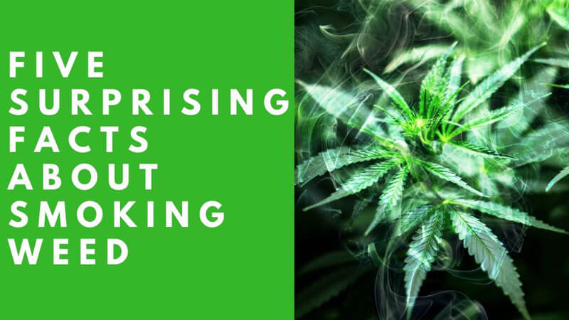 Surprising Facts About Smoking Weed