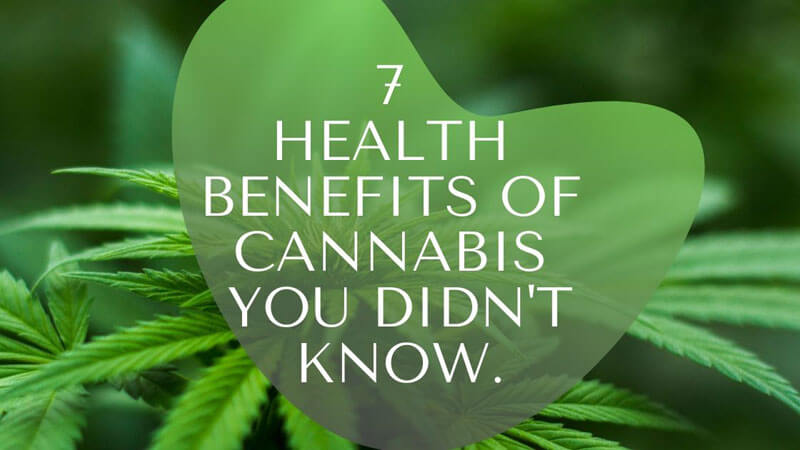 Health Benefits of Cannabis You Didn't Know