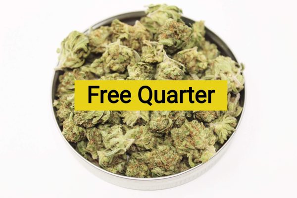 Buy Free Quarter online Canada