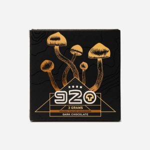 Buy Room 920 Mushroom Chocolate Bar – Dark Chocolate online Canada