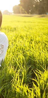 Buy Resin – Wedding Crasher online Canada