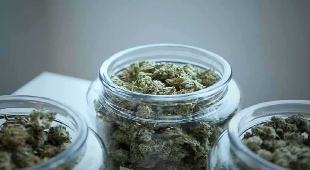 How to Keep Your Weed Fresh and Potent