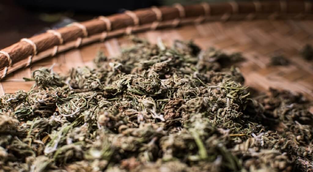 How to Get Rid of the Smell of Cannabis