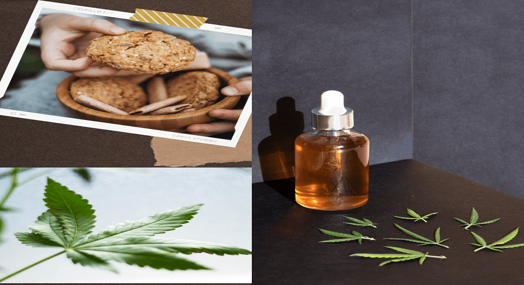 Ways To Consume Cannabis