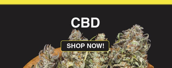 buy cbd online