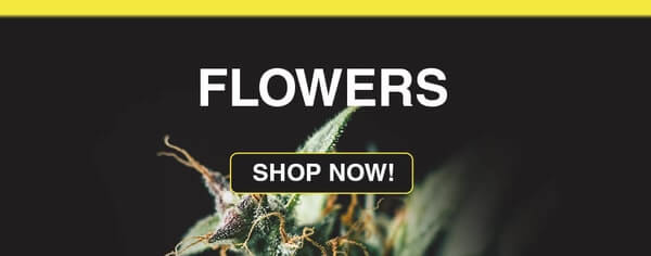 buy weed flowers online