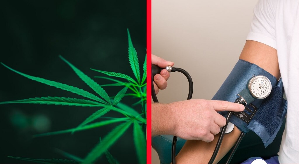 Does Cannabis Help with High Blood Pressure?