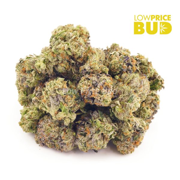 Buy Blue Comatose (AAA) online Canada