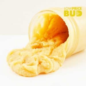 Live Resin – Ice Cream Cake Buy Live Resin – Ice Cream Cake online Canada