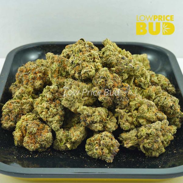 Buy Platinum Rockstar (Craft Cannabis) online Canada