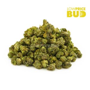 Buy Pink Tom Ford (AAAA) – Popcorn Nugs online Canada