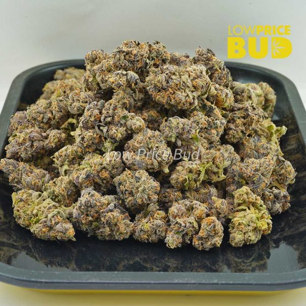 Buy Blueberry Unicorn (Craft Cannabis) online Canada