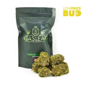 Buy Pink Alien Breath (AAAA) BY GASLEAK online Canada