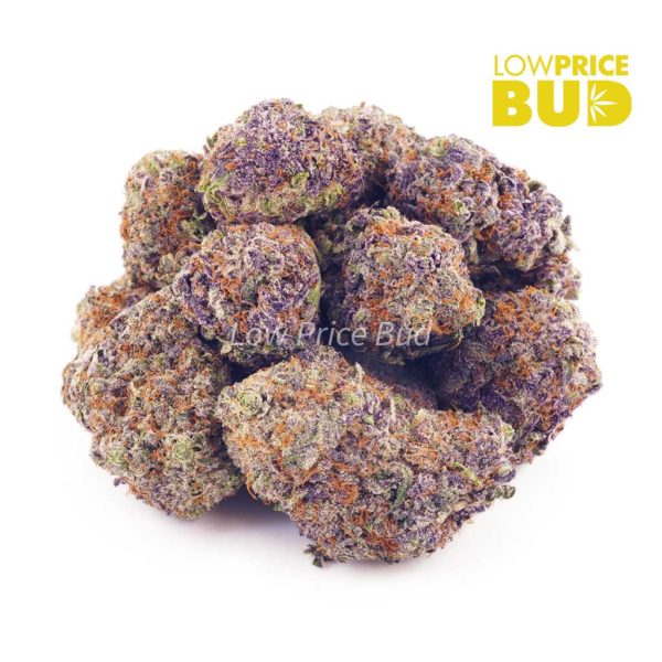 Buy Purple Kush (AAAA) online Canada