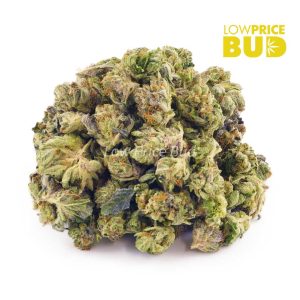 Buy Pink Death (AAAA) – Popcorn Nugs online Canada