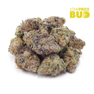 Platinum Cookies (AAAA) Buy Platinum Cookies (AAAA) online Canada