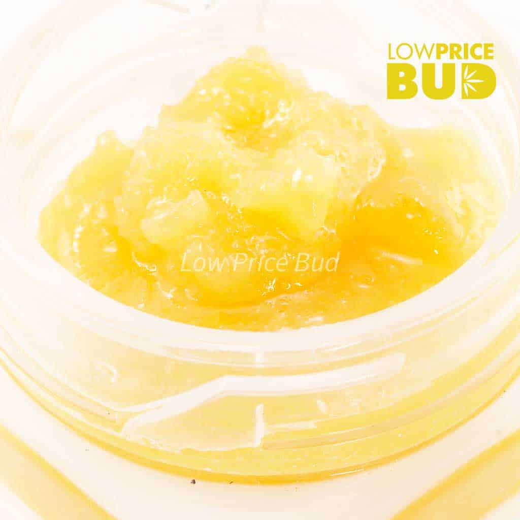 Caviar – Purple Punch Buy Caviar – Purple Punch online Canada