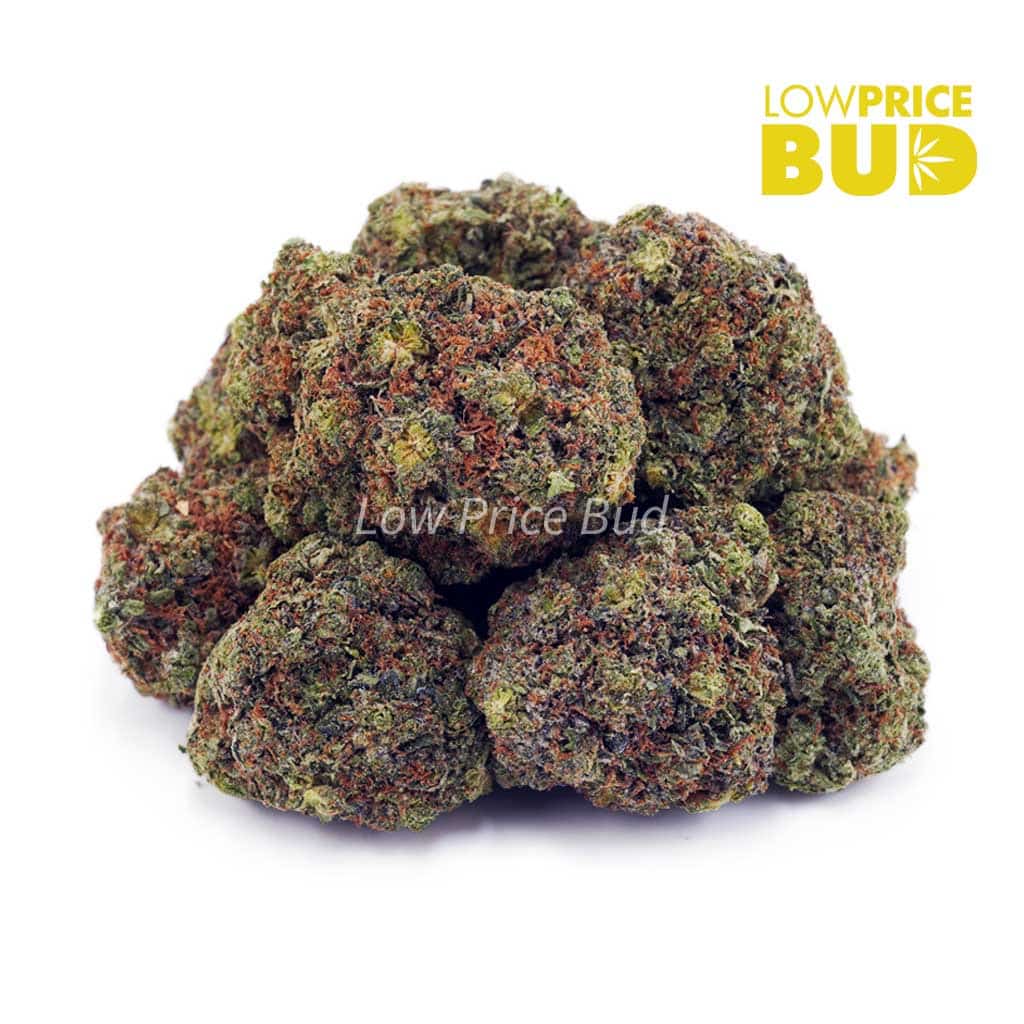 Pink Tuna (AAAA) Buy Pink Tuna (AAAA) online Canada