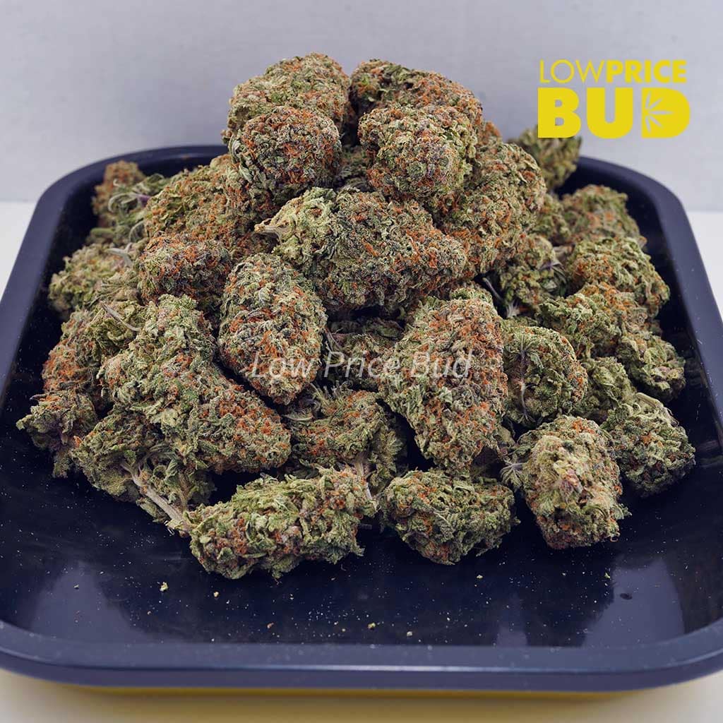 Girl Scout Cookies (AA) Buy Girl Scout Cookies (AA) online Canada