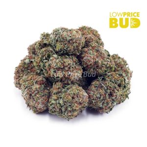 Buy Gorilla Glue #4 (AAAA) online Canada