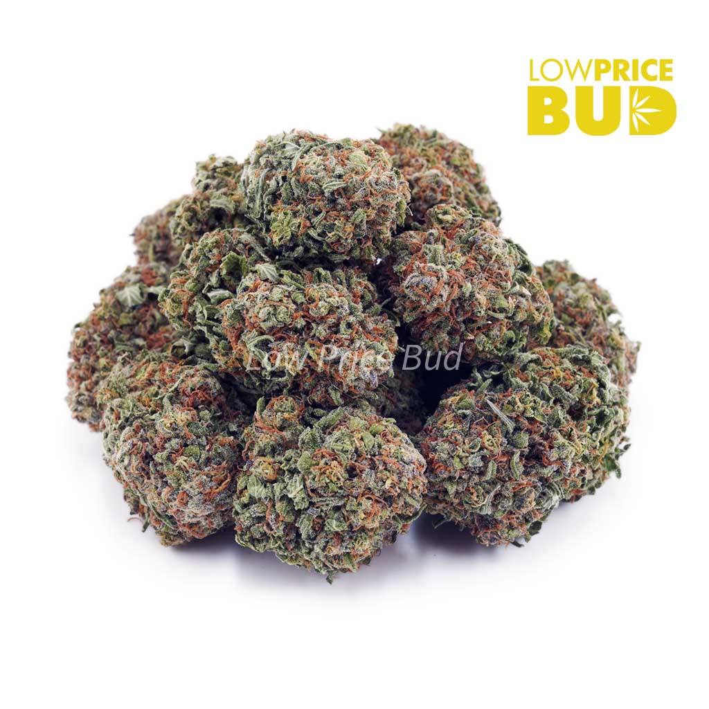 Gorilla Glue #4 (AAAA) Buy Gorilla Glue #4 (AAAA) online Canada