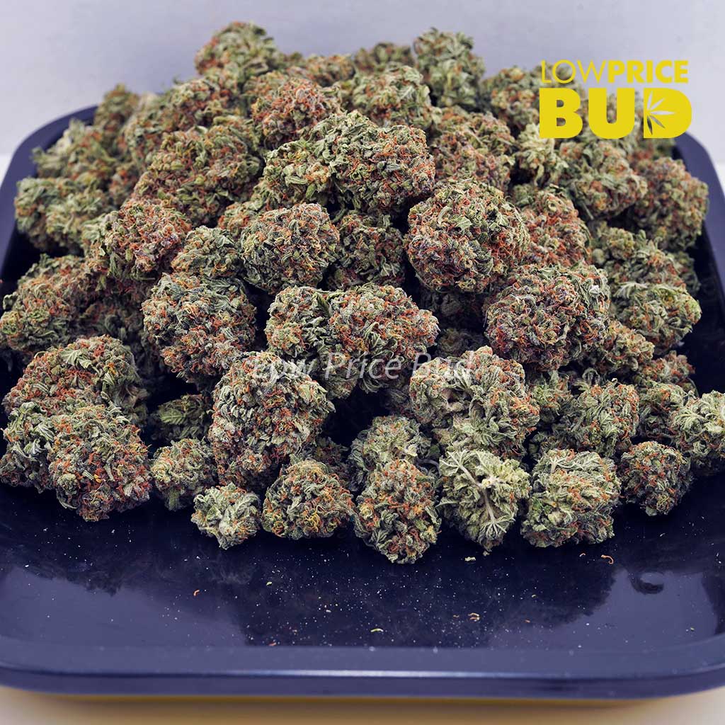 Gorilla Glue #4 (AAAA) Buy Gorilla Glue #4 (AAAA) online Canada