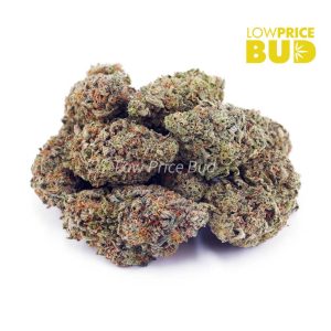 Buy Sour Tangie (AA) online Canada