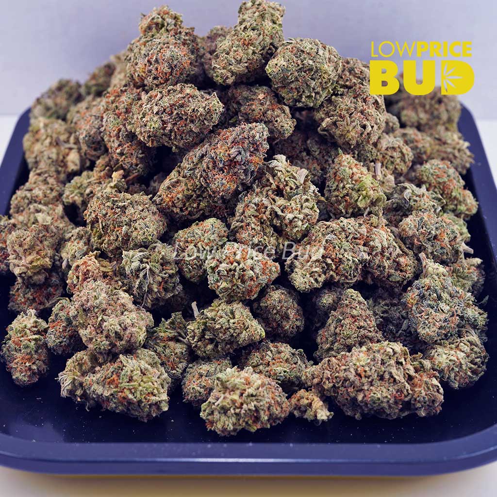 Sour Tangie (AA) Buy Sour Tangie (AA) online Canada