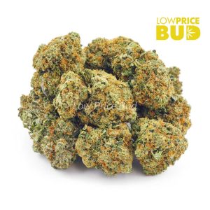 Buy Sour Tangie (AA) online Canada
