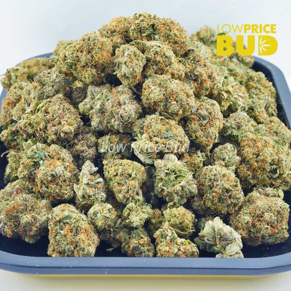 Buy Sour Tangie (AA) online Canada