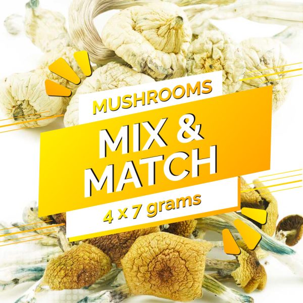 Buy Build Your Own Mushrooms Oz online Canada