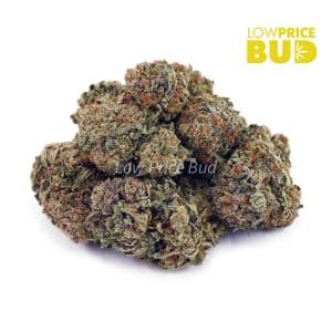 Buy Incredible Hulk (AA) online Canada
