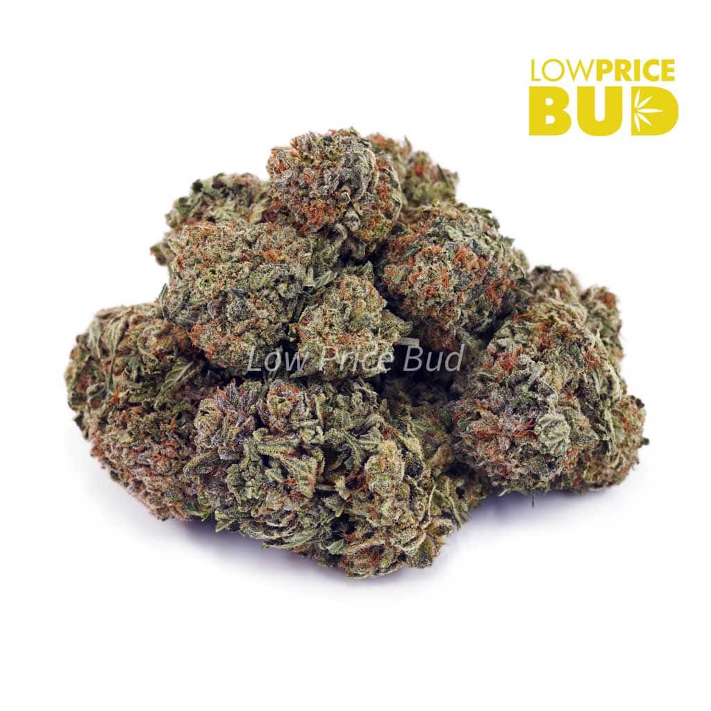 Incredible Hulk (AA) Buy Incredible Hulk (AA) online Canada