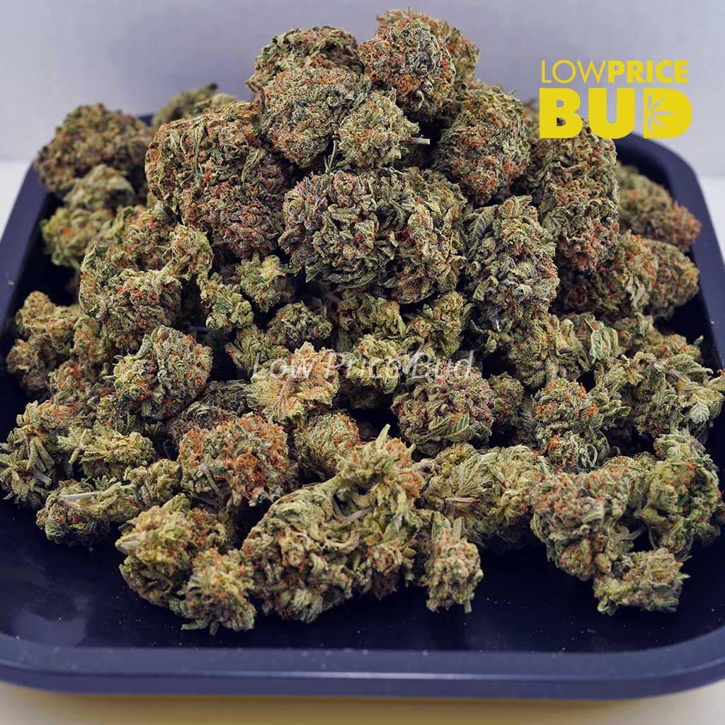 Incredible Hulk (AA) Buy Incredible Hulk (AA) online Canada