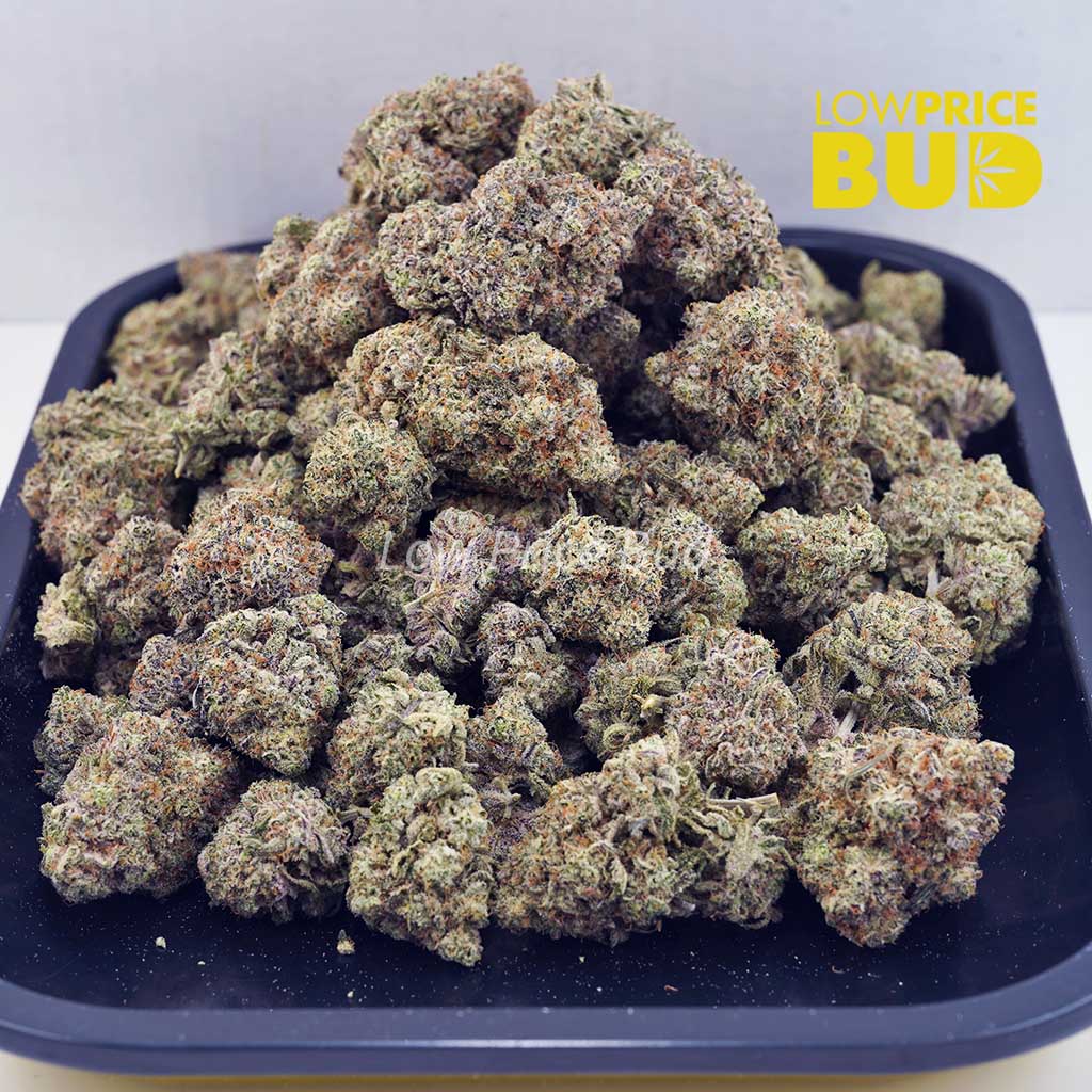 Tropicana Punch (AAAA) Buy Tropicana Punch (AAAA) online Canada