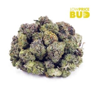 Buy God’s Green Crack (AAAA) – Popcorn Nugs online Canada