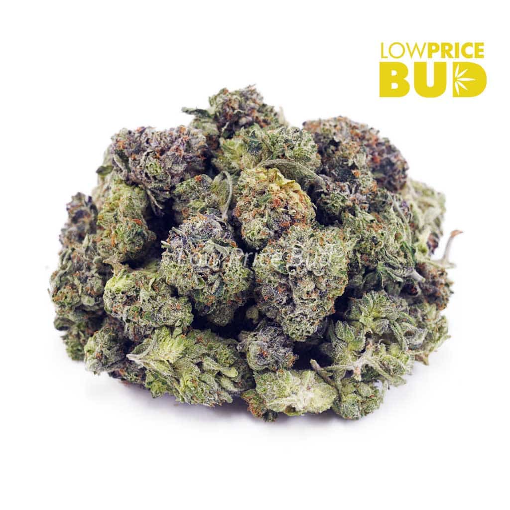 God’s Green Crack (AAAA) – Popcorn Nugs Buy God’s Green Crack (AAAA) – Popcorn Nugs online Canada