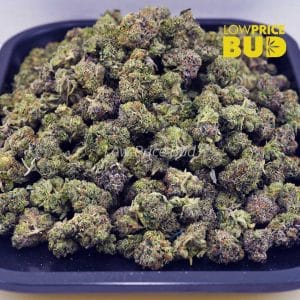 Buy God’s Green Crack (AAAA) – Popcorn Nugs online Canada