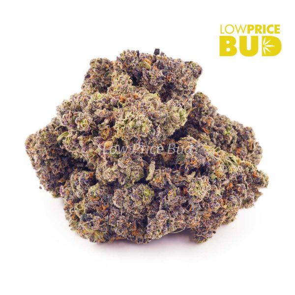 Buy Purple Pug’s Breath (Craft Cannabis) online Canada