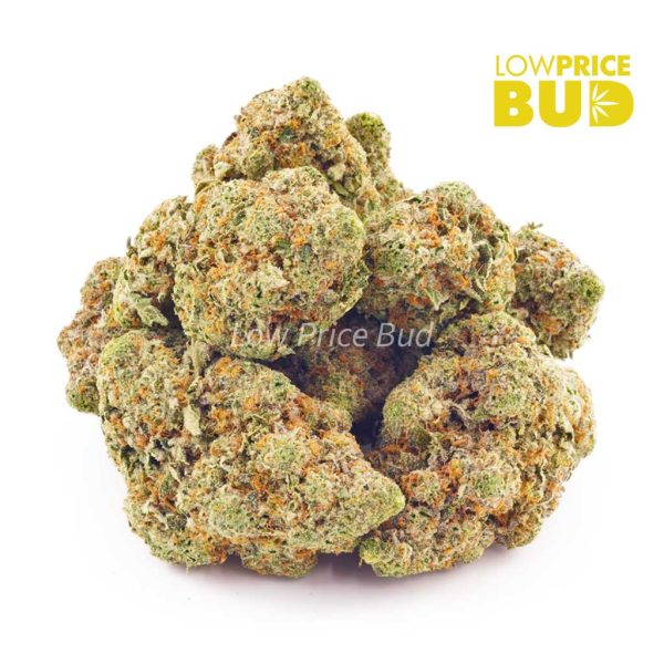 Buy Strawberry Cough (AAAA) online Canada