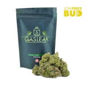Buy Ultra Master Kush (AAAA) BY GASLEAK online Canada