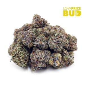 Tuna Kush (AAAA) Buy Tuna Kush (AAAA) online Canada