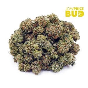 Pink Rockstar (AAAA) – Popcorn Nugs Buy Pink Rockstar (AAAA) – Popcorn Nugs online Canada