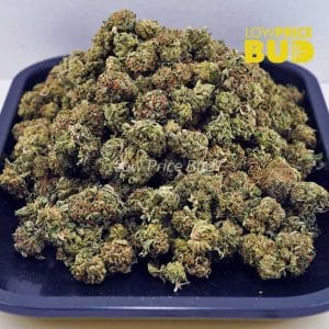 Pink Rockstar (AAAA) – Popcorn Nugs Buy Pink Rockstar (AAAA) – Popcorn Nugs online Canada