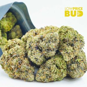 Buy Platinum Rockstar (AAAA) BY GASLEAK online Canada