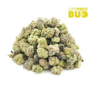 Buy Purple Bruce Banner (AAAA) – Popcorn Nugs online Canada