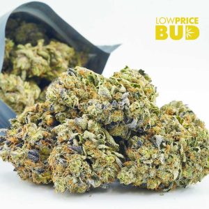 Buy El Chapo (AAAA) BY GASLEAK online Canada