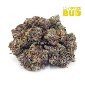 High Octane (AAAA) Buy High Octane (AAAA) online Canada