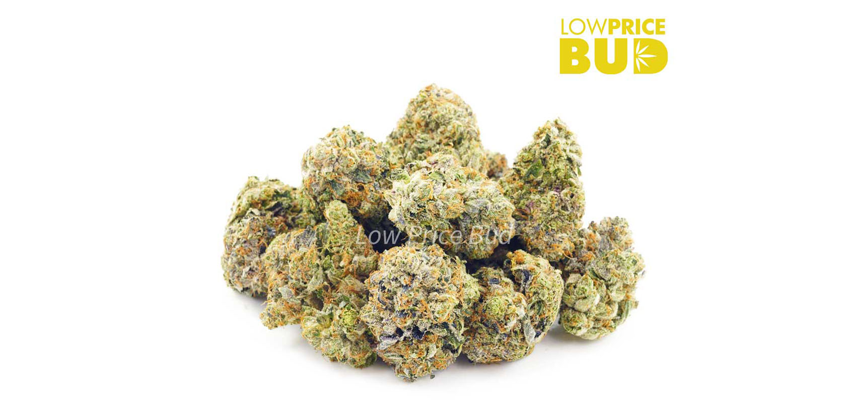 Photo of candy land weed from online dispensary for mail order marijuana low price bud.