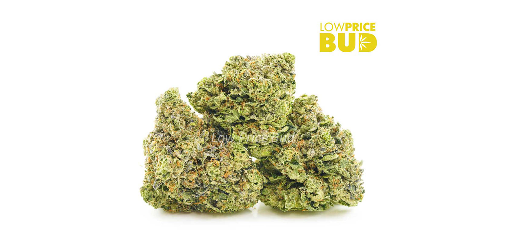 AAAA Death Bubba Hybrid weed for sale from low price bud online dispensary in BC. buy weed online.